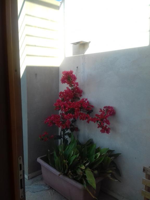 Vila Casa Dei Fenicotteri Marausa Exteriér fotografie
